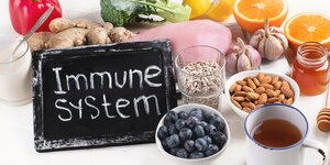 Imunitný systém a infekčné choroby – vysvetlenie Germánskej Novej Medicíny